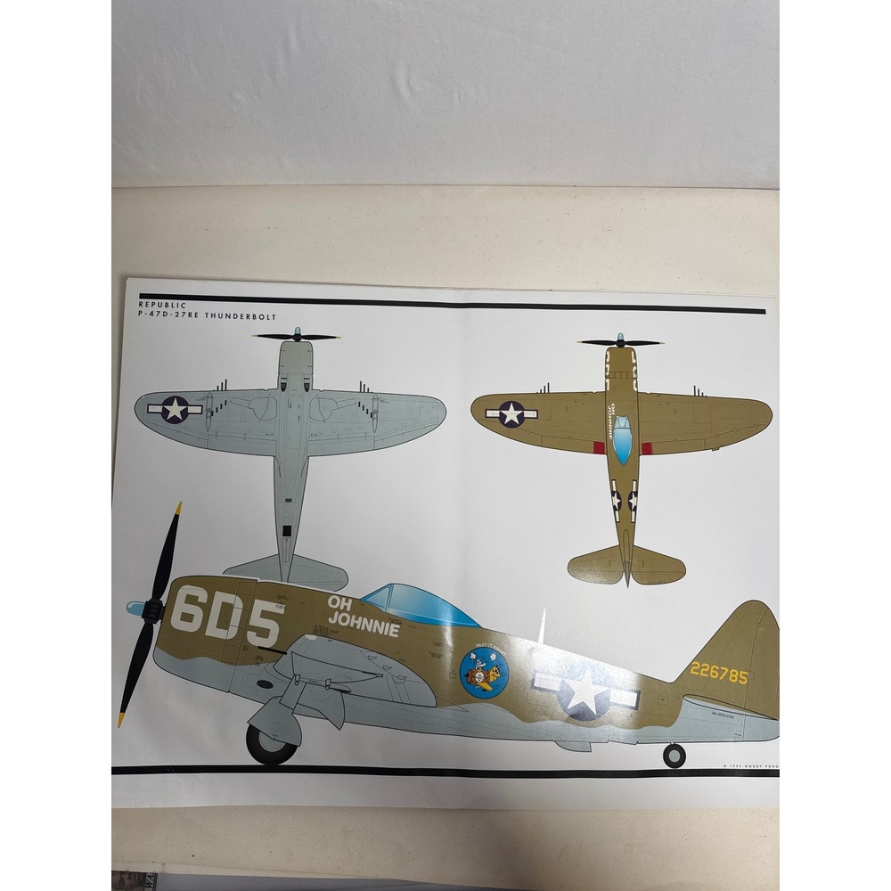 Vintage Woody Vondracek P-47D Thunderbolt Aviation Art Print Green Good